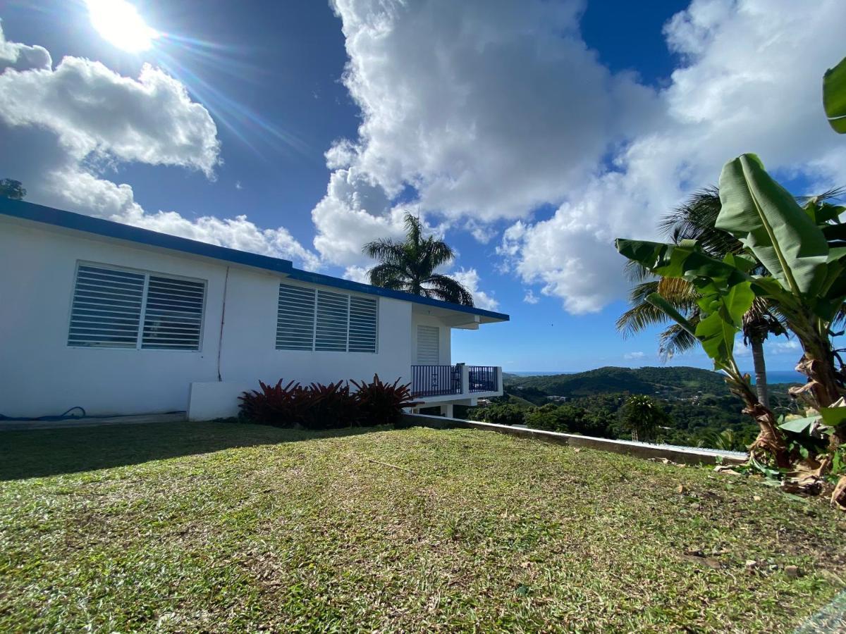 Million Dollar View In Puerto Rico Villa Luquillo Exterior photo