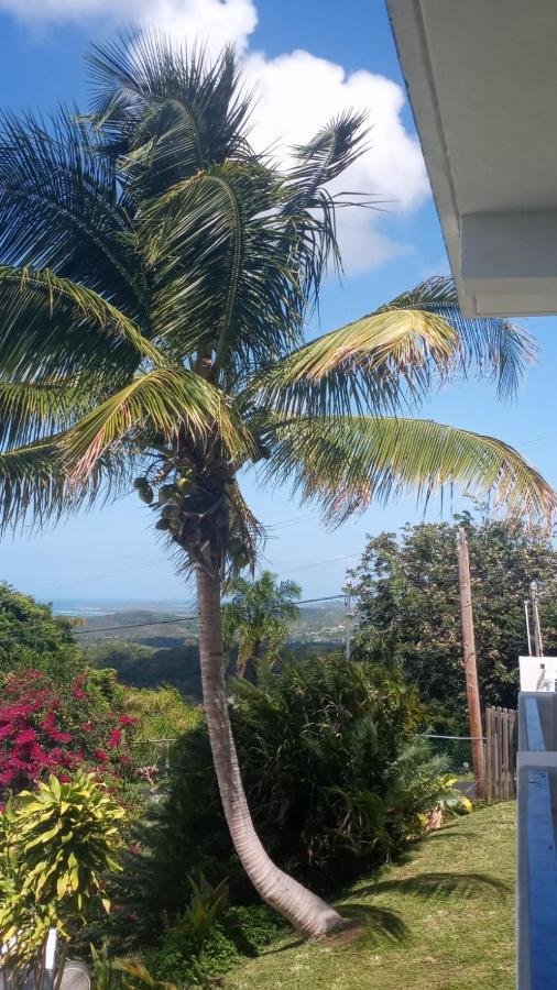 Million Dollar View In Puerto Rico Villa Luquillo Exterior photo
