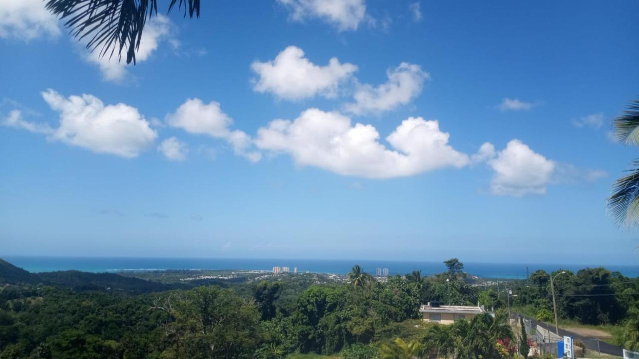 Million Dollar View In Puerto Rico Villa Luquillo Exterior photo