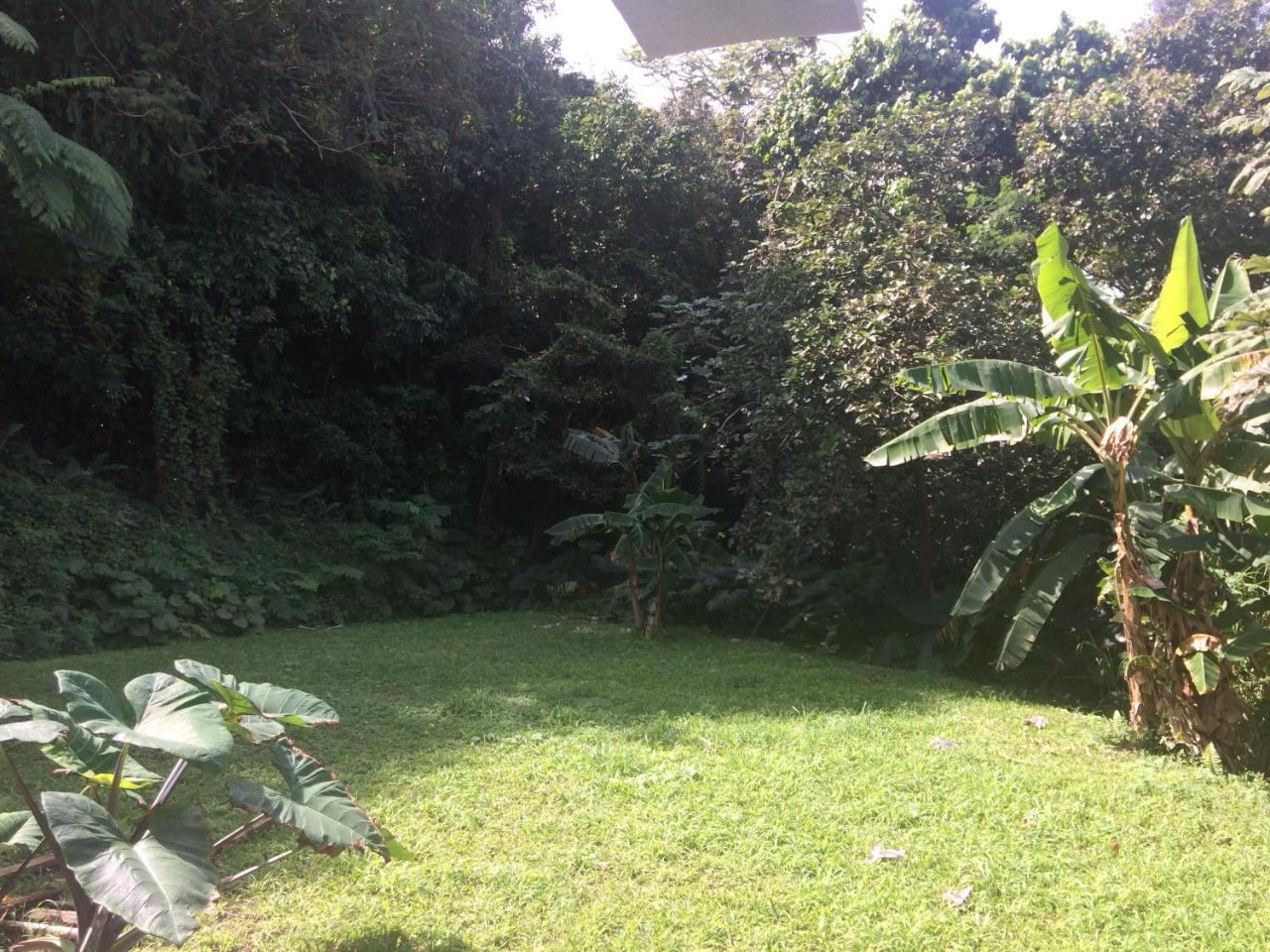 Million Dollar View In Puerto Rico Villa Luquillo Exterior photo