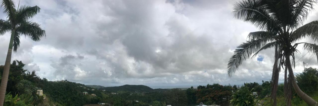 Million Dollar View In Puerto Rico Villa Luquillo Exterior photo