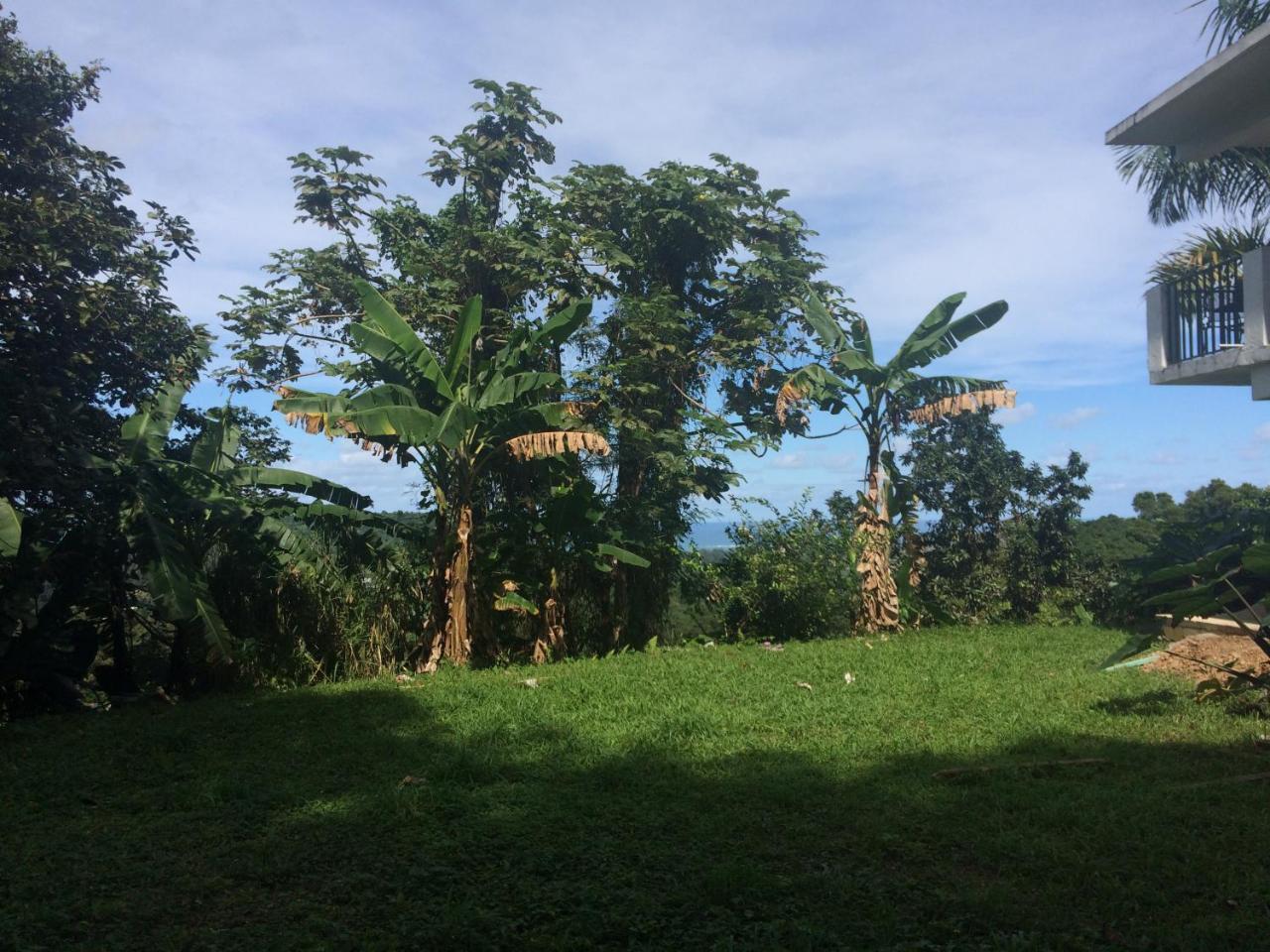 Million Dollar View In Puerto Rico Villa Luquillo Exterior photo